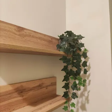 La Casa Di Antonia Apartment *
